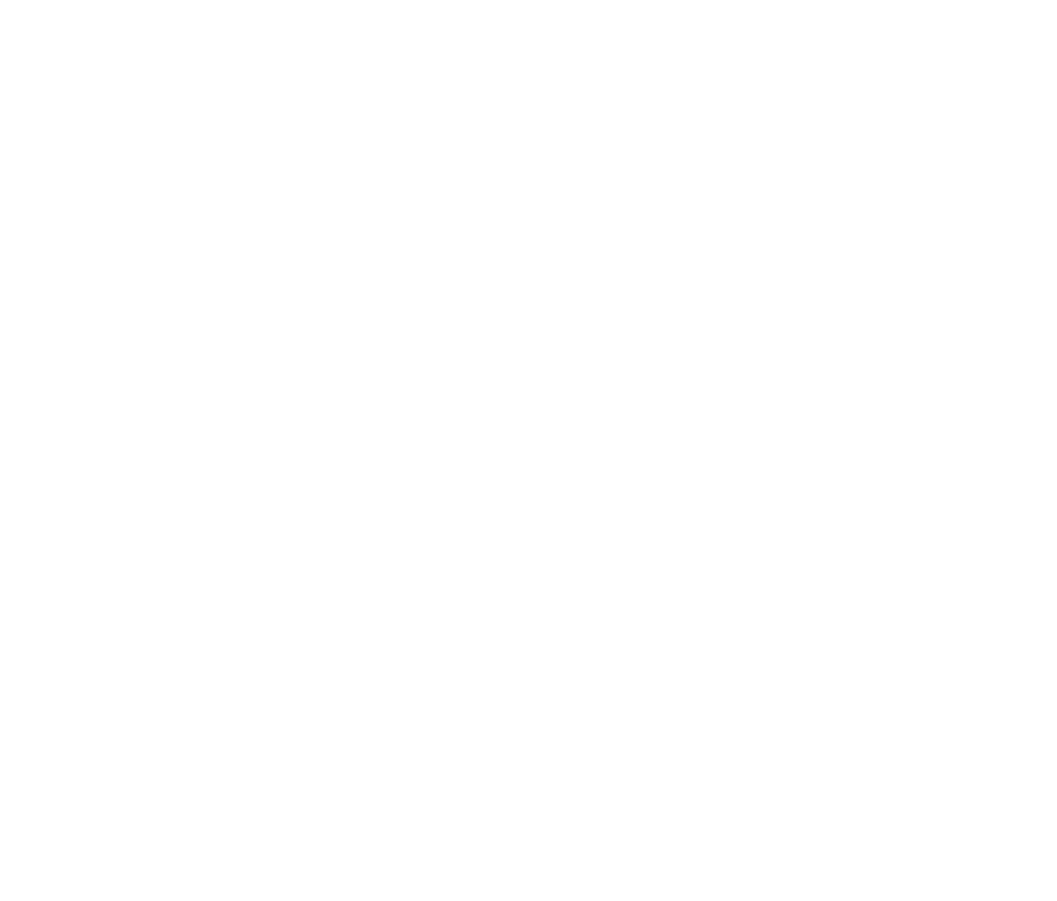 Bolko Concept